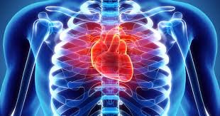 cardiovascular disease heart failure symptoms heart disease symptoms congenital heart disease heart problems symptoms heart problems symptoms of heart blockage in females cardiovascular ischemic heart disease cardiovascular disease symptoms